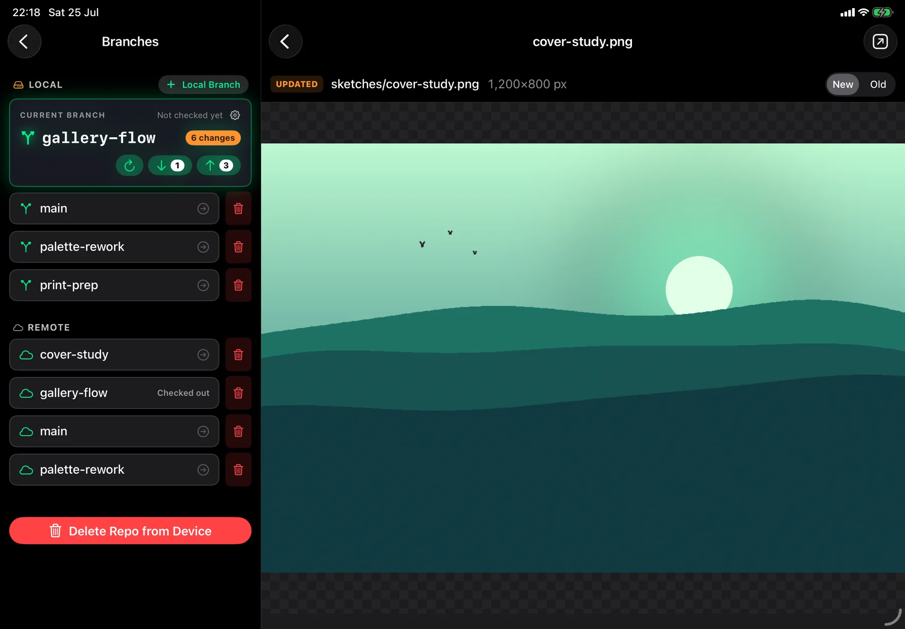 iPad image comparison: a repainted study with a New / Old toggle, a checkerboard backdrop and its pixel dimensions.